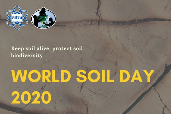รูปประจำเรื่อง: สสวท. ชวนส่งผลงานร่วมกิจกรรมวันดินโลก “รักษ์ปฐพี คืนชีวีที่หลากหลายให้ผืนดิน”