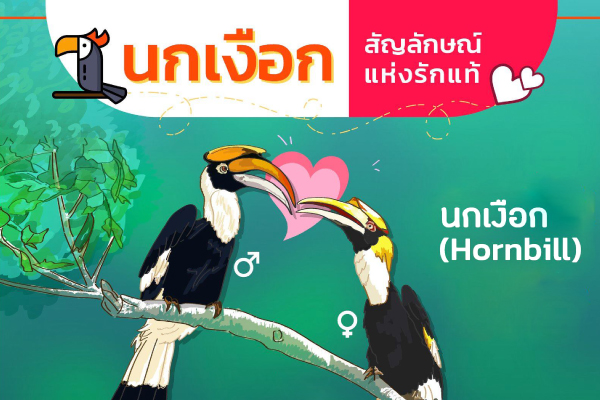 รูปประจำเรื่อง: นกเงือก สัญลักษณ์แห่ง รักแท้ (The symbol of True love)