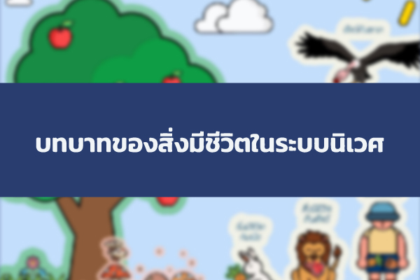 บทบาทของสิ่งมีชีวิตในระบบนิเวศ