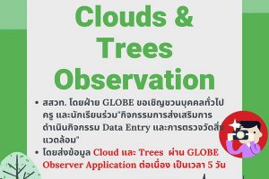 สสวท. ชวนร่วมกิจกรรมตรวจวัดสิ่งแวดล้อม วัดความสูงต้นไม้และเมฆ 5 วันต่อเนื่อง