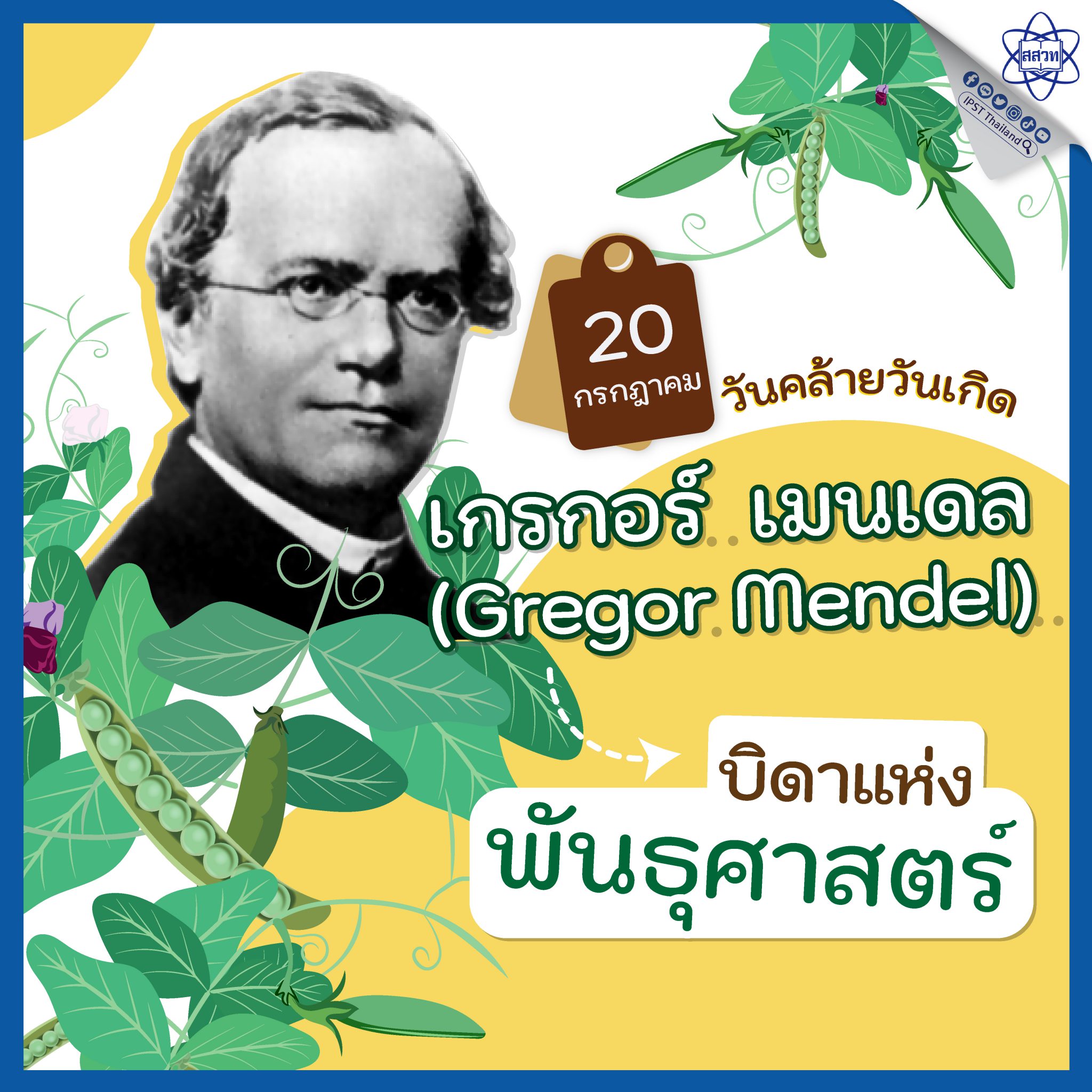 อัลบั้ม 98+ ภาพพื้นหลัง เกรกอร์ เมนเดล ความละเอียด 2k, 4k