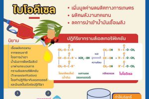 ไบโอดีเซล – วิทยาศาสตร์ กับโครงการในพระราชดำริ ร.9
