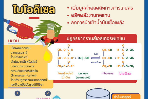 รูปประจำเรื่อง: ไบโอดีเซล – วิทยาศาสตร์ กับโครงการในพระราชดำริ ร.9