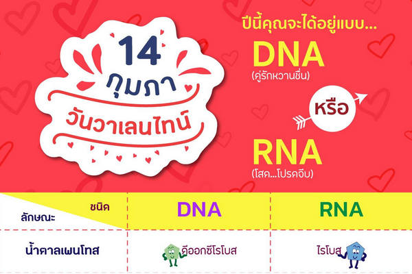 รูปประจำเรื่อง: วาเลนไทน์ปีนี้ คุณจะมีคู่แบบ (DNA) หรืออยู่เป็นโสดแบบ (RNA)