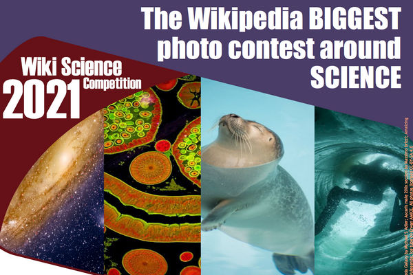 รูปประจำเรื่อง: การแข่งขันประกวดภาพวิทยาศาสตร์ 2021 (Wiki Science Competition 2021)