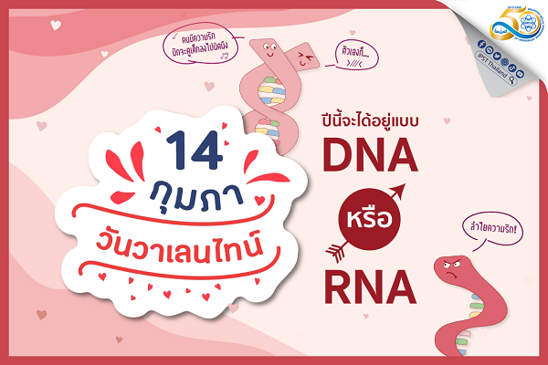 รูปประจำเรื่อง: ไขข้อข้องใจ DNA และ RNA เหมือนหรือต่างกันอย่างไร?