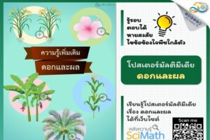 รู้รอบ ตอบได้ หายสงสัย ไขข้อข้องใจพืชใกล้ตัวกับ โปสเตอร์มัลติมีเดีย : ดอกและผล