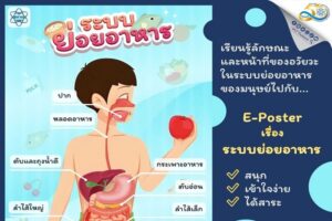 สื่อเรียนรู้ออนไลน์ e-poster เรื่อง ระบบย่อยอาหาร  