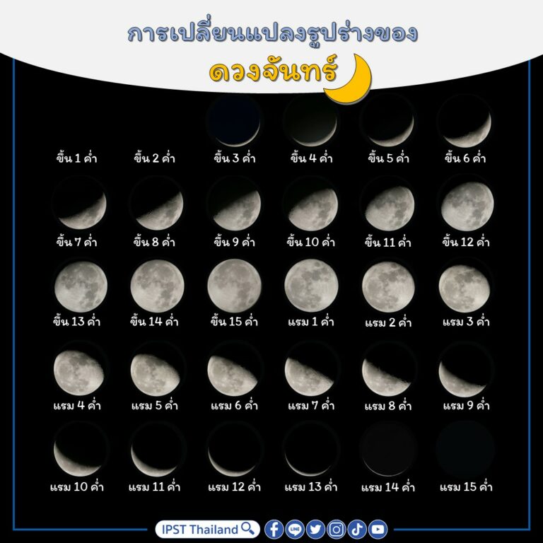 My Image 5