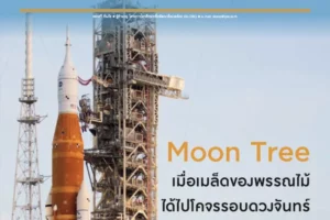 Moon Tree เมื่อเมล็ดของพรรณไม้ ได้ไปโคจรรอบดวงจันทร์