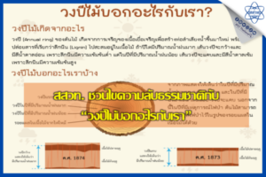สสวท. ชวนไขความลับธรรมชาติกับ “วงปีไม้บอกอะไรกับเรา”