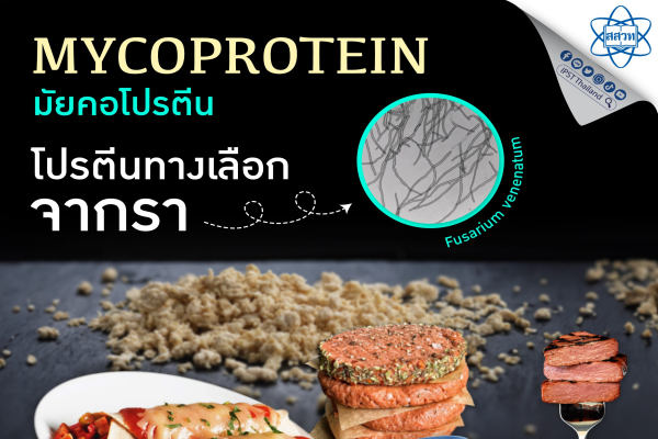 รูปประจำเรื่อง: มัยคอโปรตีน โปรตีนทางเลือกจากรา