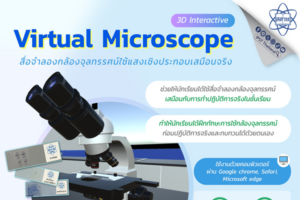 Virtual Microscope สื่อจำลองกล้องจุลทรรศน์ใช้แสงเชิงประกอบเสมือนจริง