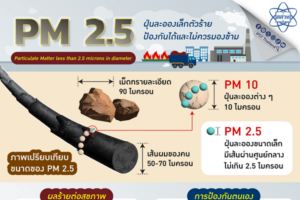 PM 2.5 ฝุ่นละอองเล็กตัวร้าย ป้องกันได้และไม่ควรมองข้าม