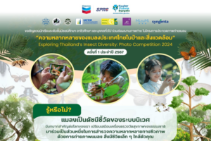 เชิญชวนร่วมส่งผลงานประกวดใน โครงการประกวดถ่ายภาพ “ความหลากหลายของแมลงประเทศไทยในป่าและสิ่งแวดล้อมรอบตัวเรา”