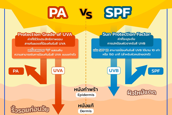 ค่า SPF และ PA ในเครื่องสำอางคืออะไร