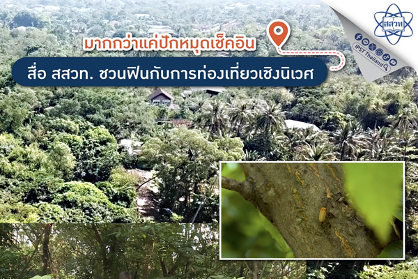 รูปประจำเรื่อง: มากกว่าแค่ปักหมุดเช็คอิน สื่อ สสวท. ชวนฟินกับการท่องเที่ยวเชิงนิเวศ