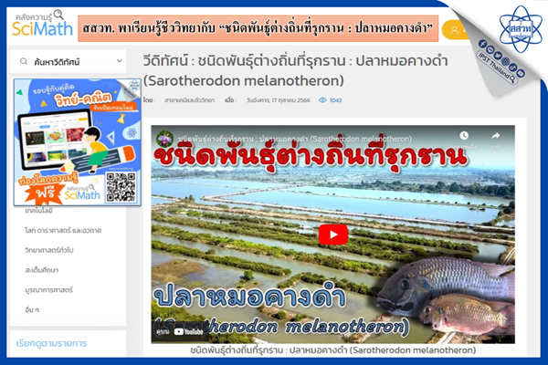 สสวท. พาเรียนรู้ชีววิทยากับ “ชนิดพันธุ์ต่างถิ่นที่รุกราน : ปลาหมอคางดำ”