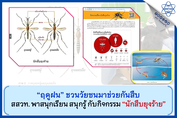 “ฤดูฝน” ชวนวัยซนมาช่วยกันสืบ สสวท. พาสนุกเรียน สนุกรู้ กับกิจกรรม “นักสืบยุงร้าย”