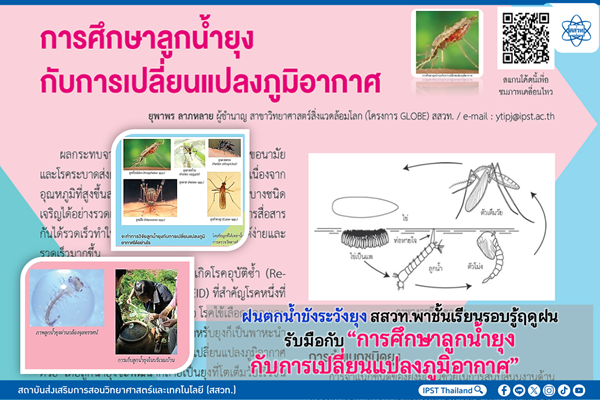 ฝนตกน้ำขังระวังยุง สสวท.พาชั้นเรียนรอบรู้ฤดูฝนรับมือกับ“การศึกษาลูกน้ำยุงกับการเปลี่ยนแปลงภูมิอากาศ”