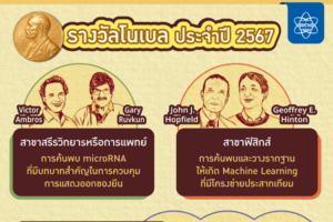 ผลรางวัลโนเบล ประจำปี 2024