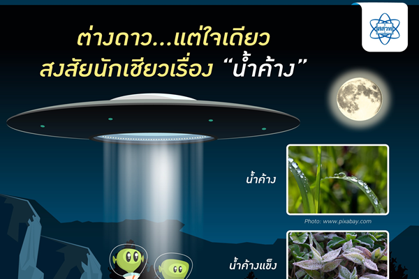 รูปประจำเรื่อง: ต่างดาว…แต่ใจเดียว สงสัยนักเชียวเรื่อง “น้ำค้าง”