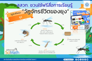สสวท. ชวนใช้ฟรีสื่อการเรียนรู้  “วัฏจักรชีวิตของยุง”