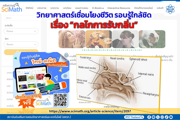วิทยาศาสตร์เชื่อมโยงชีวิต รอบรู้ใกล้ชิดเรื่อง “กลไกการรับกลิ่น”