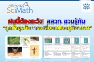 ฝนนี้ต้องระวัง! สสวท. ชวนรู้ทัน “ลูกน้ำยุงกับการเปลี่ยนแปลงภูมิอากาศ”