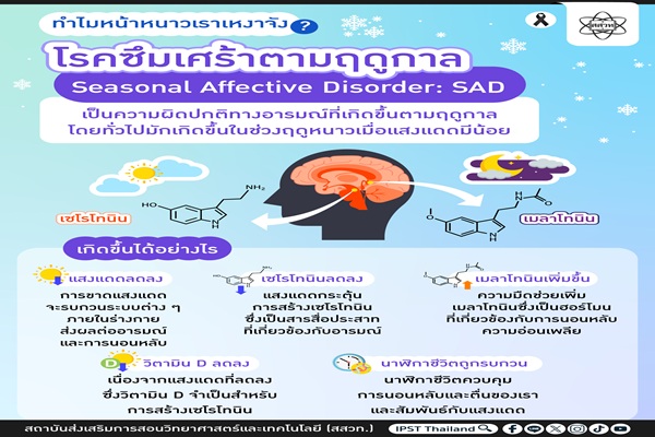 รูปประจำเรื่อง: หน้าหนาวทำไม “เหงา” จัง