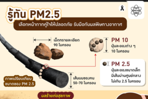 รู้ทัน PM2.5 เลือกหน้ากากคู่ใจ ให้ปลอดภัย (แบบตัวมัม) รับมือกับมลพิษทางอากาศ